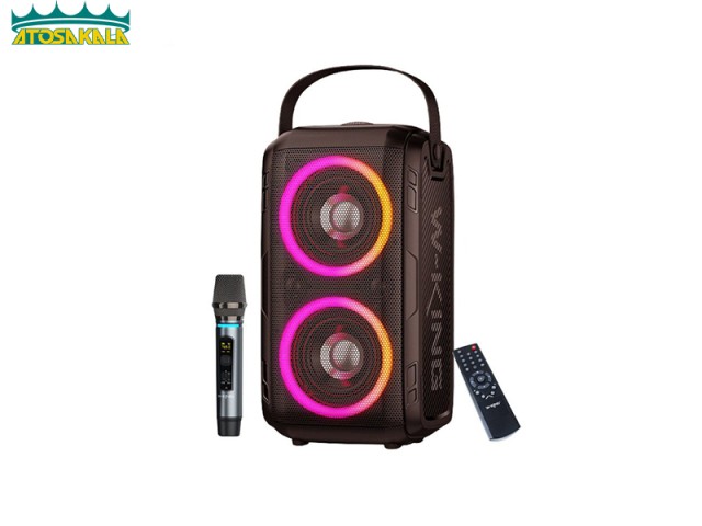 اسپیکر بلوتوث دبلیو کینگ W-King T9 Pro توان 100 رم و فلش خور با 2 میکروفون