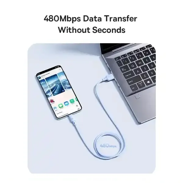 کابل تایپ سی 100 وات یک متر بیسوس Baseus Silky Series 1m 100W USB to USB-C CB000113