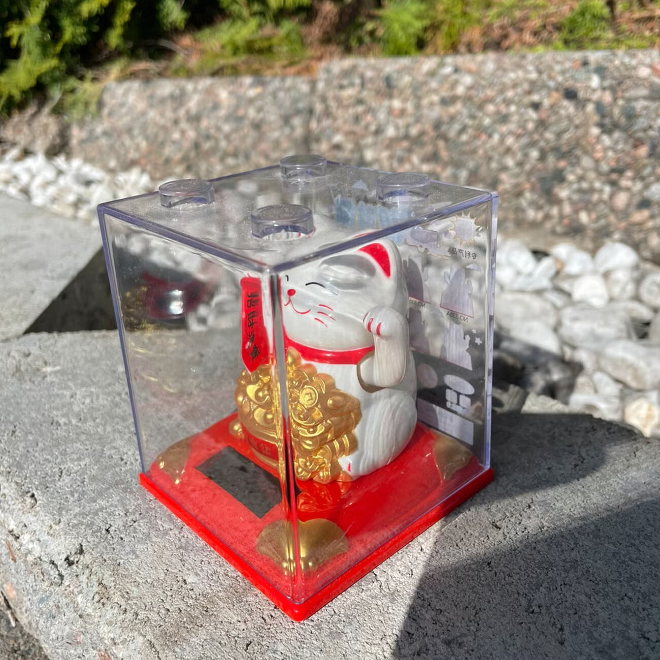 خرید  گربه شانس خورشیدی سایز متوسط