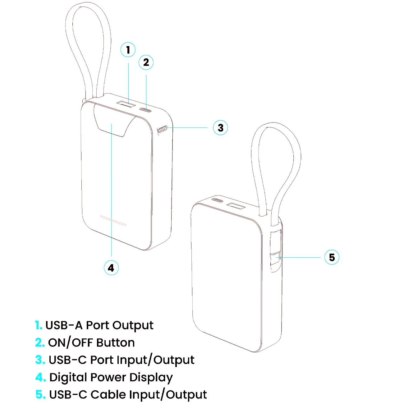 کیفیت پاوربانک فست شارژ تایپ سی و یو اس بی پاورولوژی با کابل تایپ‌سی متصل و نمایشگر دیجیتالی