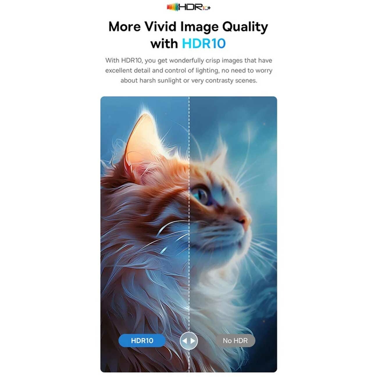 هاب تایپ‌سی 6 پورت بیسوس