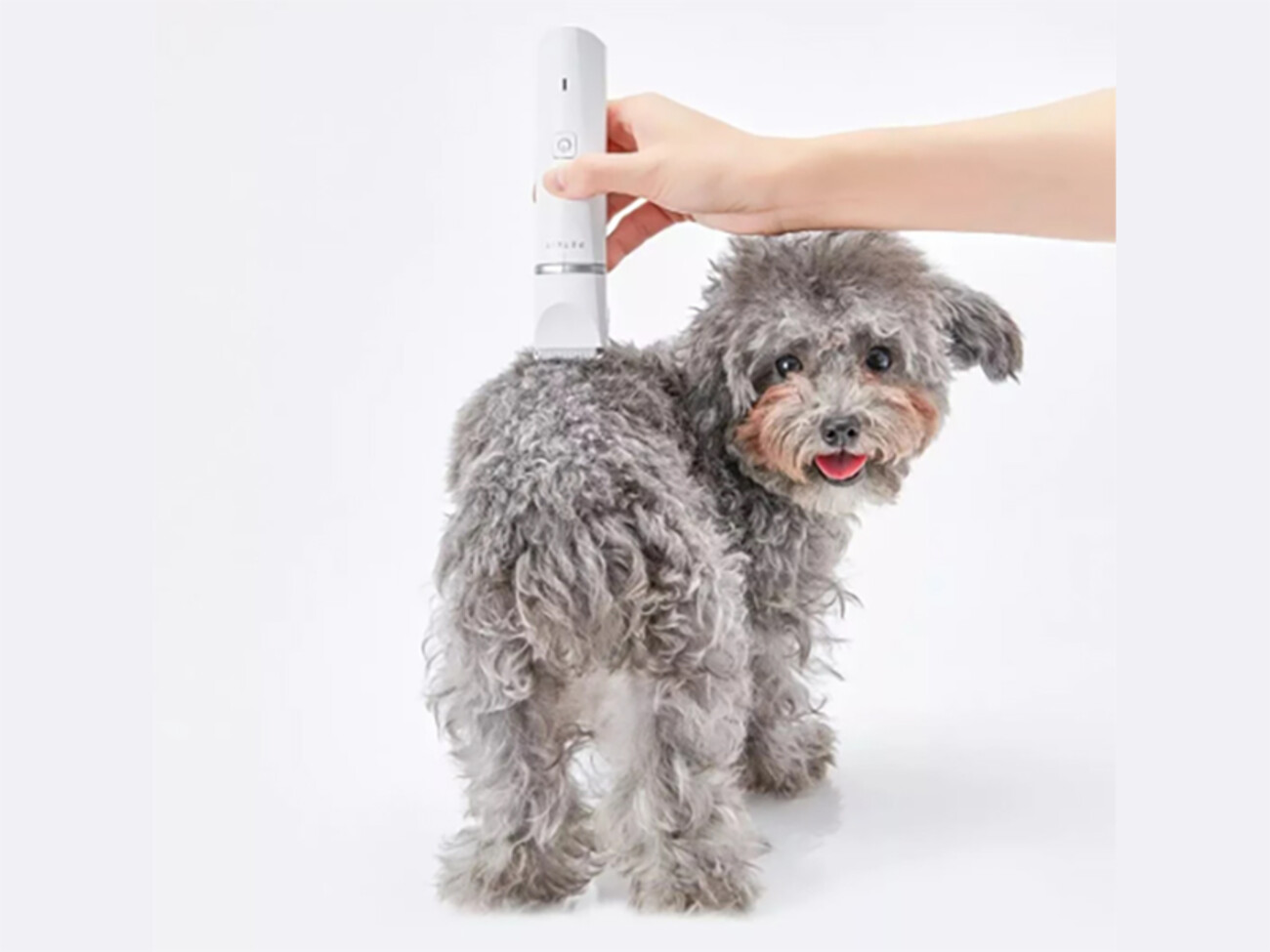 خرید ماشین اصلاح موی حیوانات خانگی شیائومی Xiaopei 2 in 1 pet electric clipper dog shaver