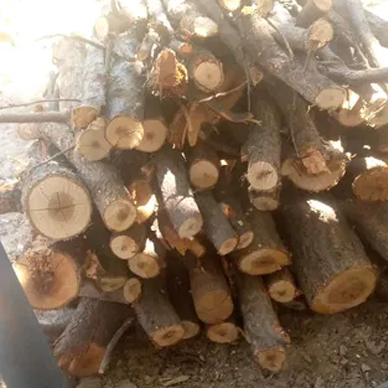 قیمت اره شارژی