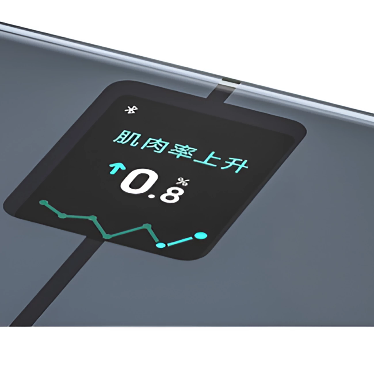 خرید ترازو هوشمند شیائومی