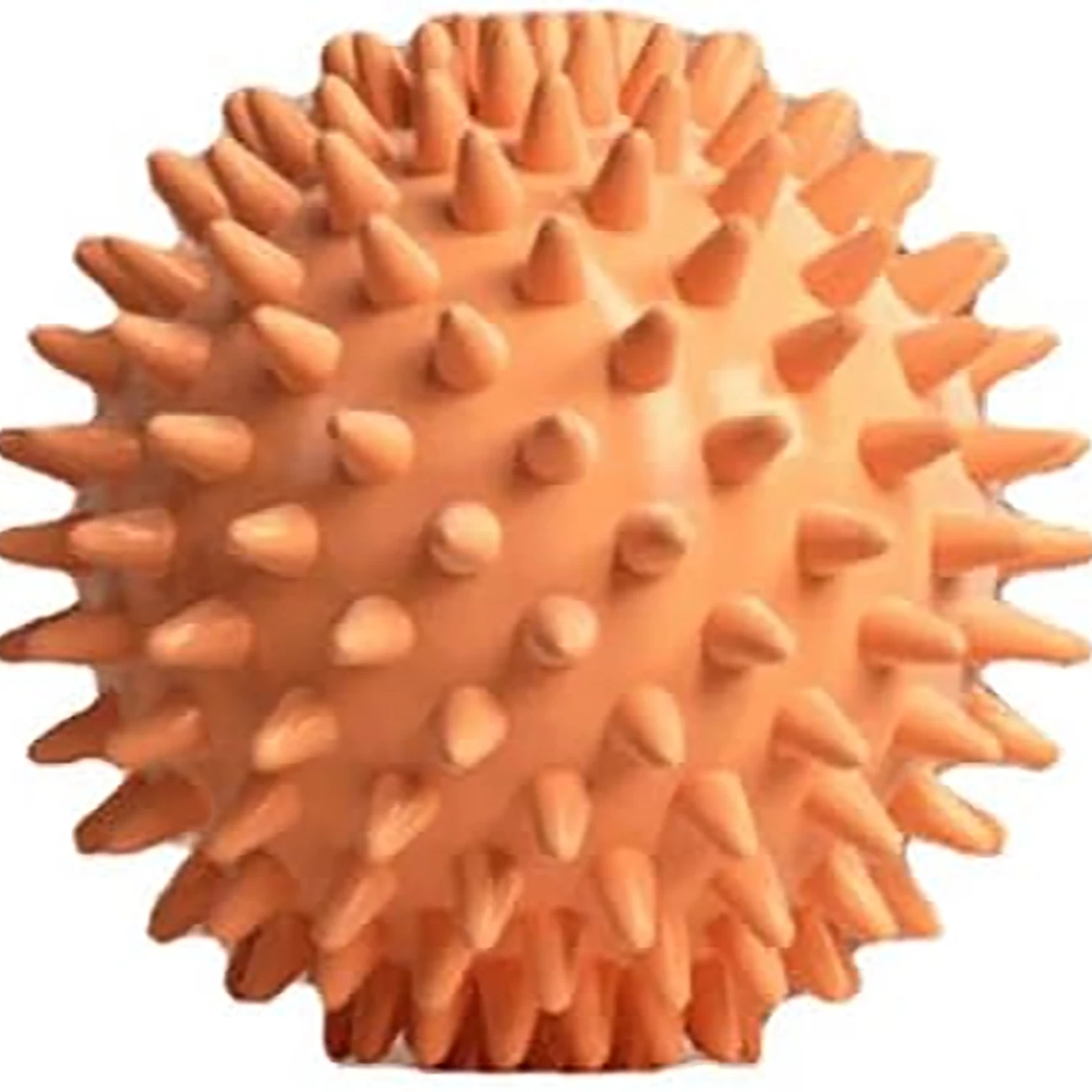 خرید توپ ماساژ جوجه تیغی