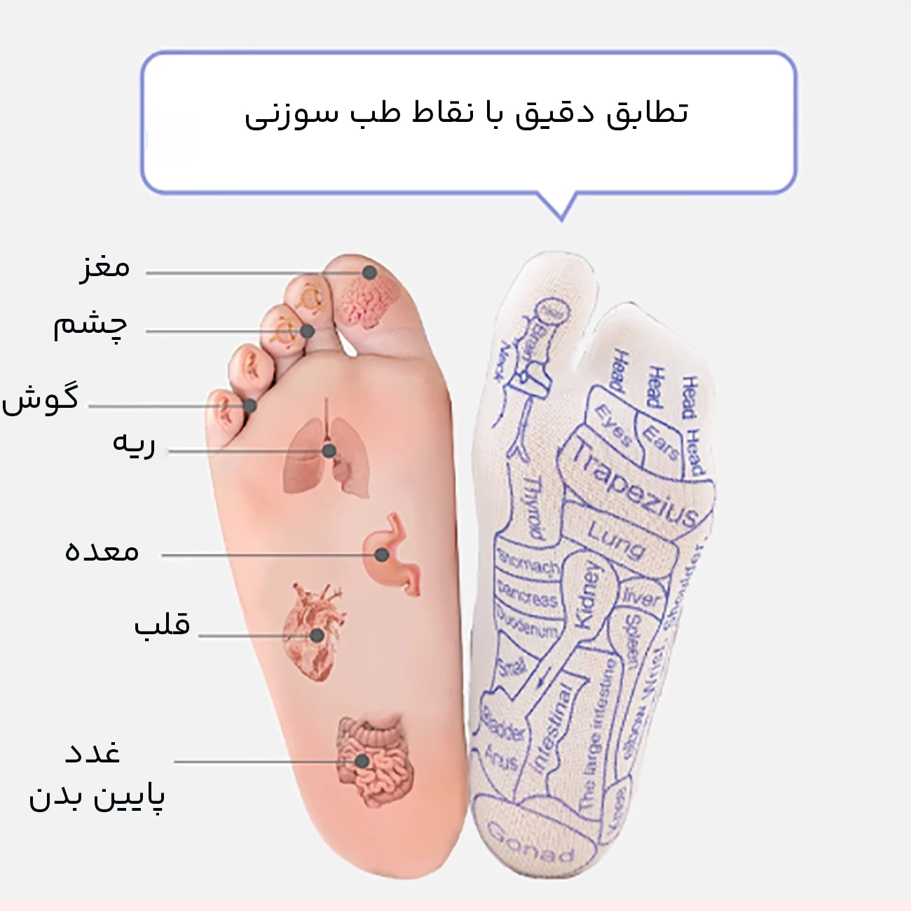 قیمت جوراب طب سوزنی ماساژ پا با طراحی انگشت شست مجزا