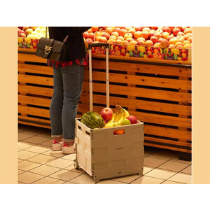 خرید چرخ نگهداری مواد غذایی تاشو شیائومی Foldable Xiaomi Maiwei Food Storage Container 35L TN-SNX01