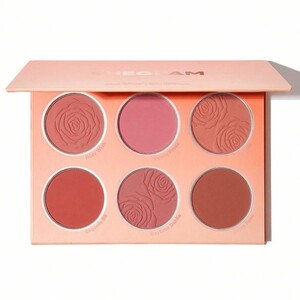 پالت رژگونه پودری شیگلم SHEGLAM اصل مدل Floral Flush رنگ Cottage Core Garden