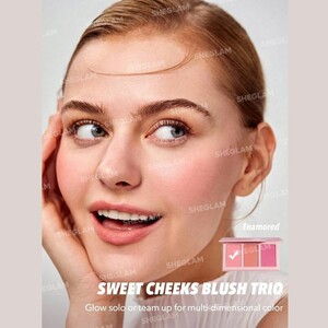 فروش پالت رژگونه پودری شیگلم