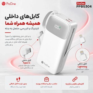 کابل های داخلی پاوربانک پرووان
