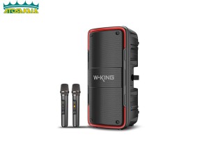 اسپیکر بلوتوث دبلیو کینگ W-King T7 توان 100 رم و فلش خور با 2 میکروفون