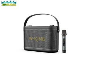 اسپیکر بلوتوث دبلیو کینگ W-King H10S توان 80 رم و فلش خور با میکروفون
