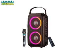 اسپیکر بلوتوث دبلیو کینگ W-King T9 Pro توان 100 رم و فلش خور با 2 میکروفون