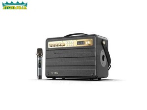 اسپیکر بلوتوث دبلیو کینگ W-KING K6 Plus توان 200 رم و فلش خور با 2 میکروفون