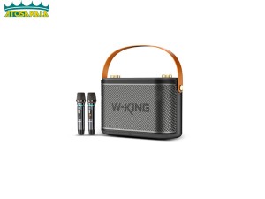 اسپیکر بلوتوث دبلیو کینگ W-King T10 Wireless Speaker توان 120 وات رم و فلش خور با دو عدد میکروفون