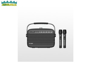 اسپیکر بلوتوث دبلیو کینگ W-King K9 Wireless Speaker توان 100 وات رم و فلش خور با دو عدد میکروفون
