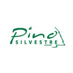 پینو سیلوستره