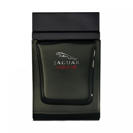 ادکلن جگوار ویژن 3