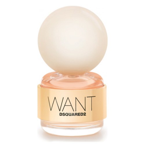 عطر دسکوارد وانت