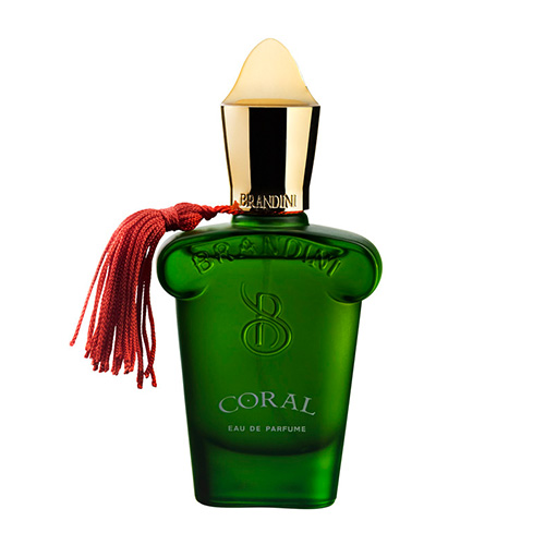 عطر جیبی مردانه برندینی مدل Coral