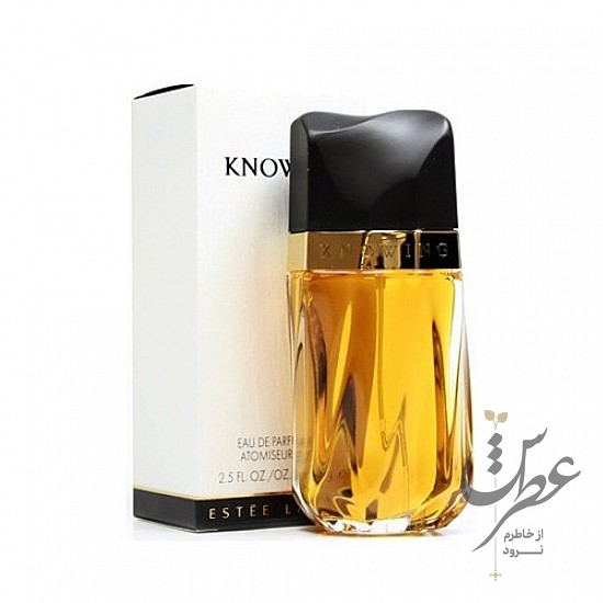 عطر استی لودر نویینگ