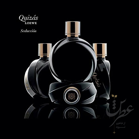 عطر لووه کویزاس سداکشن