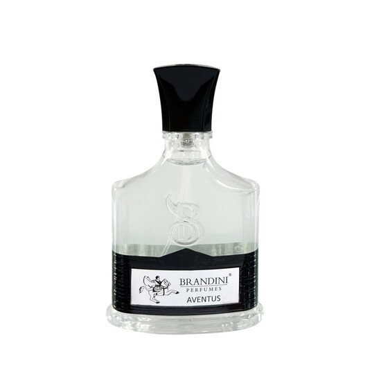 عطر جیبی مردانه برندینی مدل Aventus