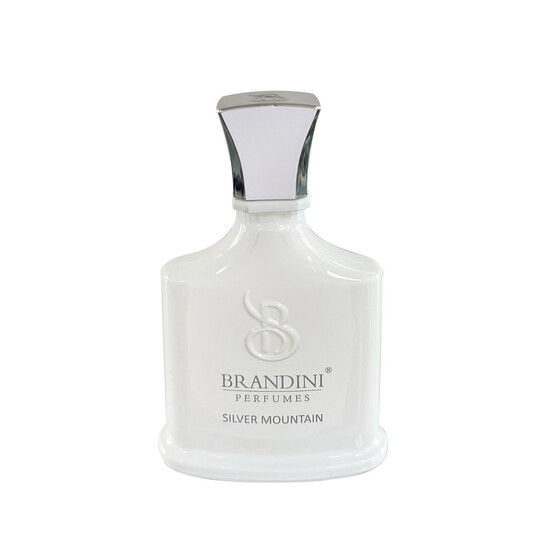 عطر جیبی  برندینی مدل Silver Mount ain