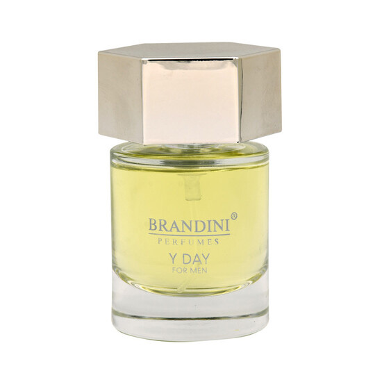 عطر جیبی مردانه برندینی مدل Y Day
