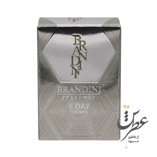 عطر جیبی مردانه برندینی مدل Y Day حجم 25 میلی لیتر