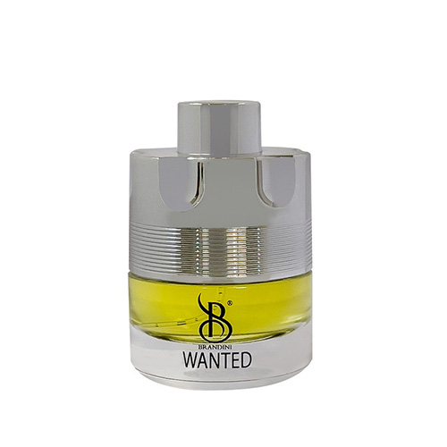 عطر جیبی مردانه برندینی مدل wanted