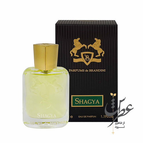 عطر جیبی مردانه برندینی مدل Shagya