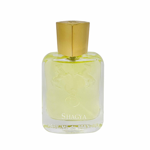 عطر جیبی مردانه برندینی مدل Shagya