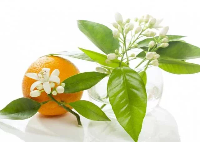 عطر گرمی گل بهار نارنج