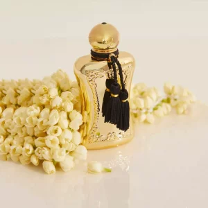 عطر گرمی ماارلی دارسی