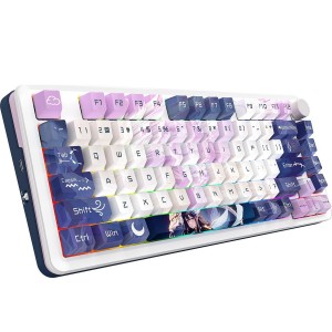 کیبورد گیمینگ بی سیم ردراگون مدل Redragon K681 ACG Cyrus Pro