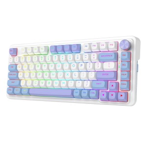 کیبورد گیمینگ بی سیم ردراگون مدل Redragon K673 WBP Ucal Max