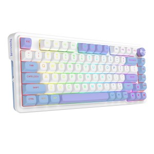 کیبورد گیمینگ بی سیم ردراگون مدل Redragon K673 WBP Ucal Max