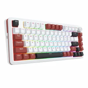 کیبورد گیمینگ ردراگون مدل Redragon K721 WRB Stormhunter