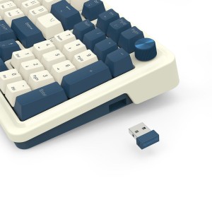 کیبورد گیمینگ بی سیم ردراگون مدل Redragon K686 WB Eisa Pro / کرم-آبی
