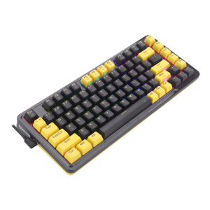 کیبورد گیمینگ ردراگون مدل Redragon K649 PY Elf