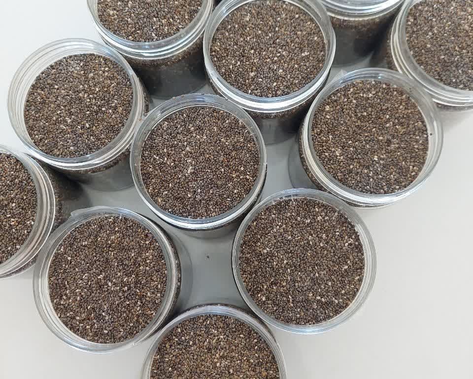 خواص دانه چیا برزیلی