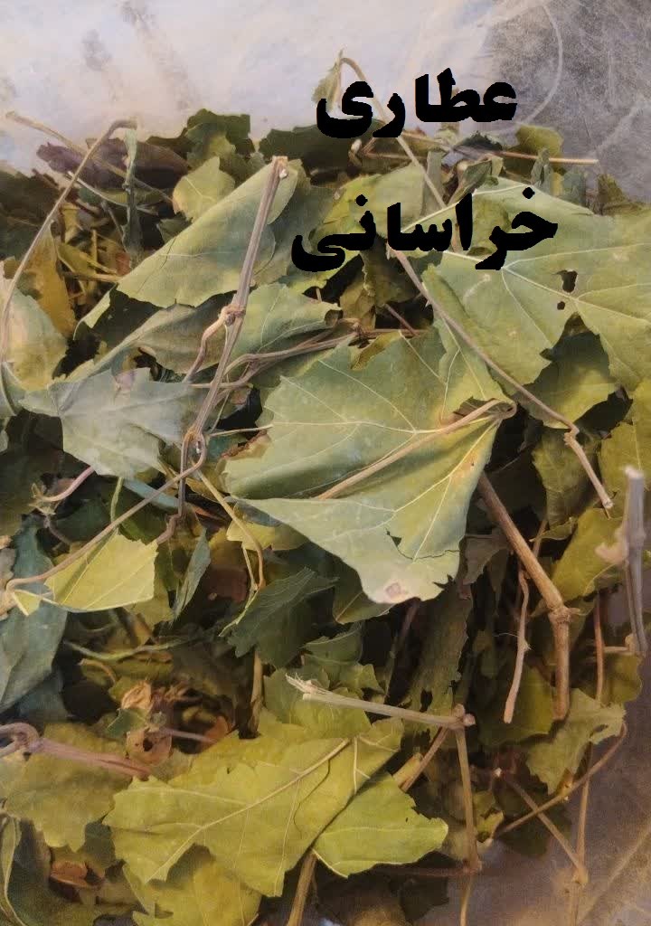پودر برگ درخت انگور خوراکی