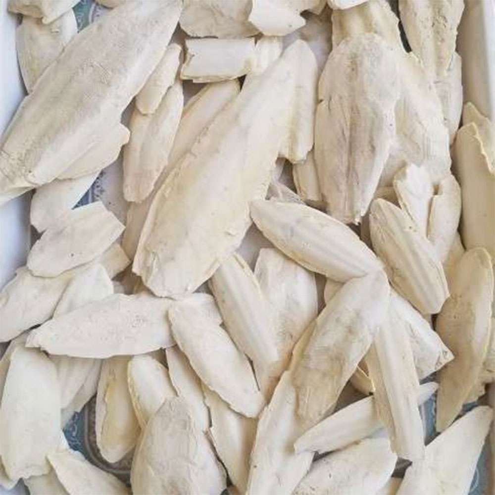 کف دریا درشت نسابیده