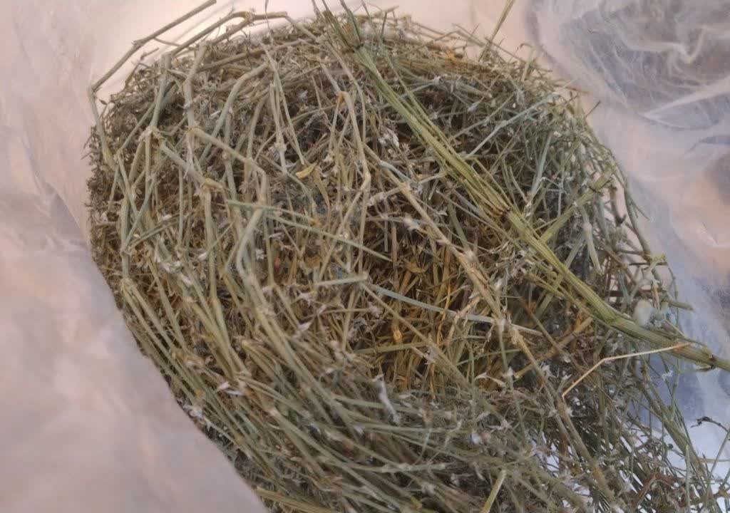 علف هفت بند 110 گرمی