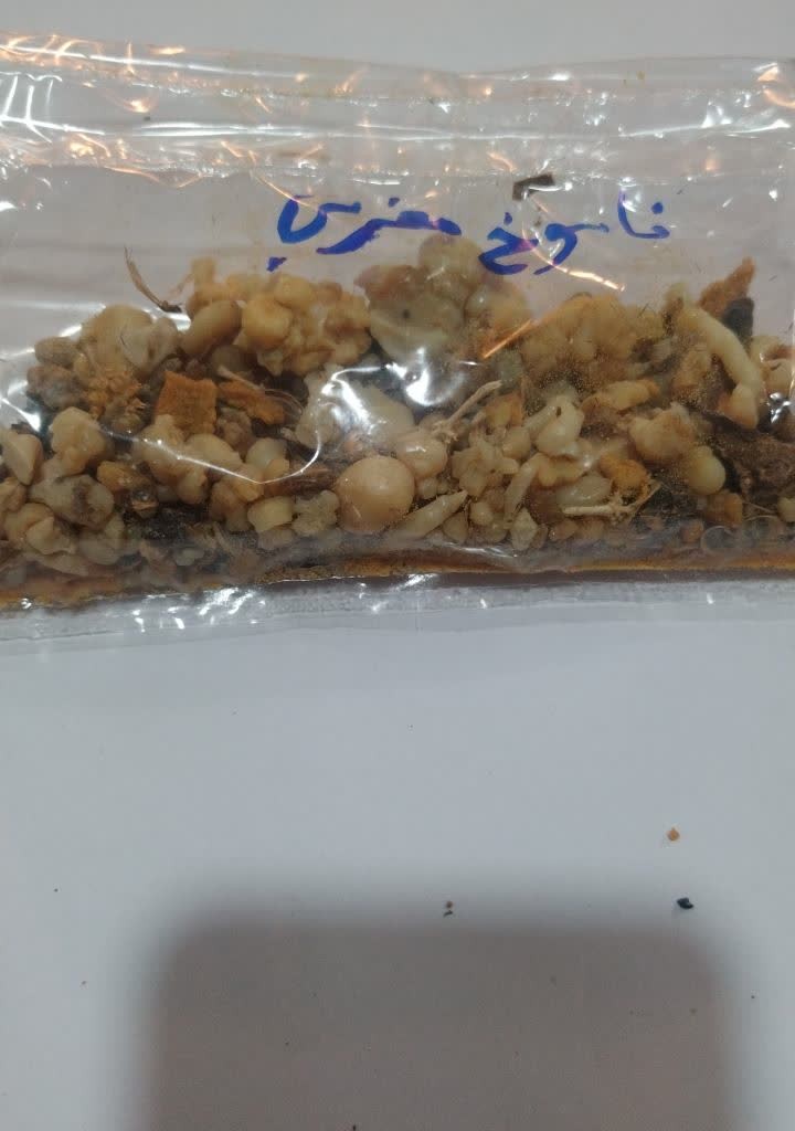 فاسوخ مغربی اصل (اوشق) 50 گرمی