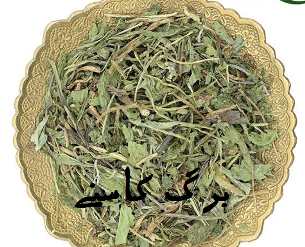 برگ کاسنی 250 گرمی پاکسازی کبدی
