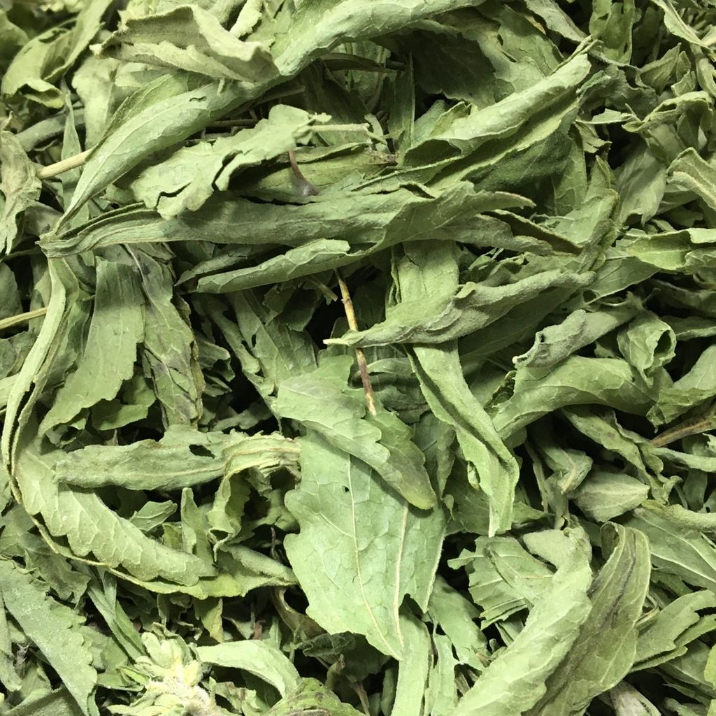 برگ استویا صد گرمی خشک