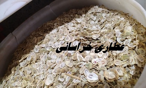 گلپر نسابیده معطر