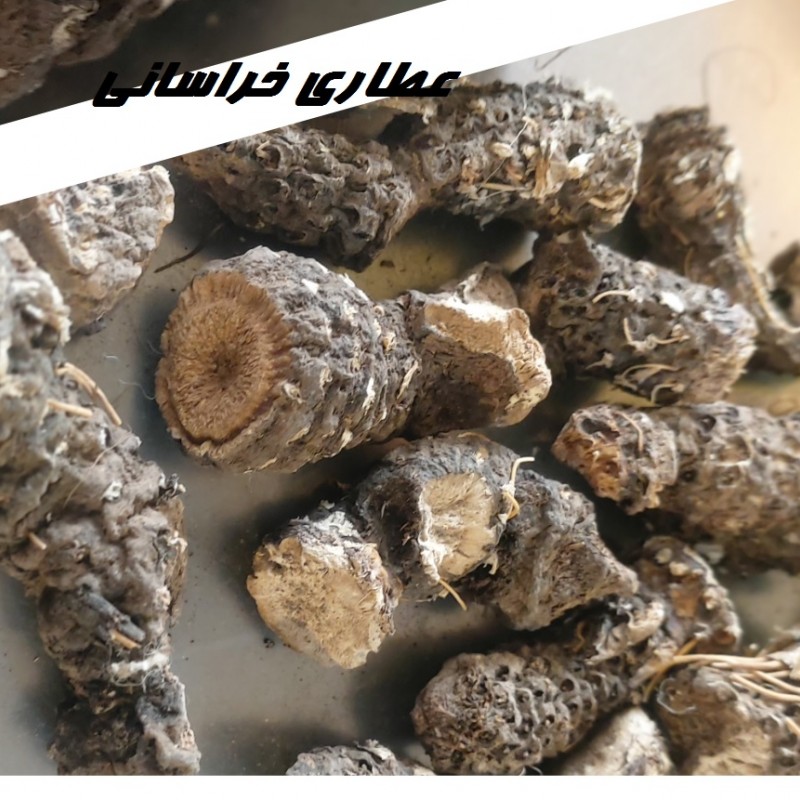 ریشه کندوش هندی اصلی نیم کیلویی